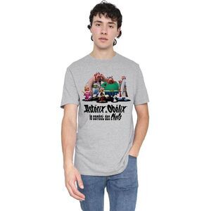 Asterix Unisex Adult Gauls Together T-Shirt / Heather Grey